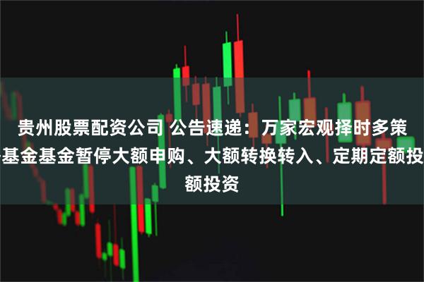 贵州股票配资公司 公告速递:万家宏观择时多策略基金基金暂停大额申购、大额转换转入、定期定额投资