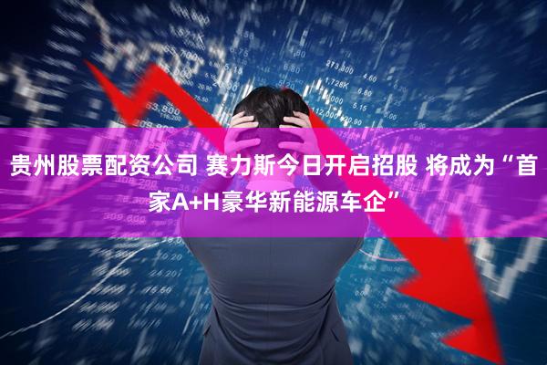 贵州股票配资公司 赛力斯今日开启招股 将成为“首家A+H豪华新能源车企”