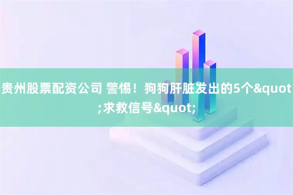 贵州股票配资公司 警惕！狗狗肝脏发出的5个"求救信号"